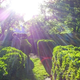Image for article titled Shooting Challenge: Lens Flare Gallery Part One